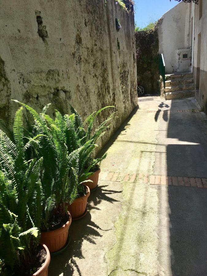 La Casetta Di Zia Cuccu Minori Kültér fotó